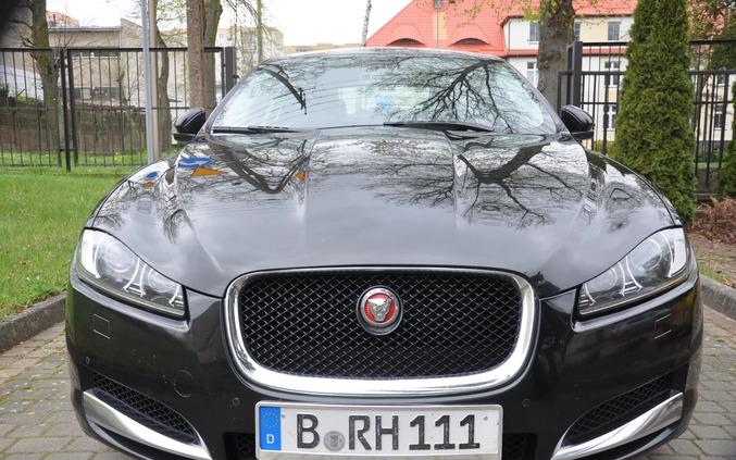 Jaguar XF cena 59900 przebieg: 226000, rok produkcji 2014 z Recz małe 436